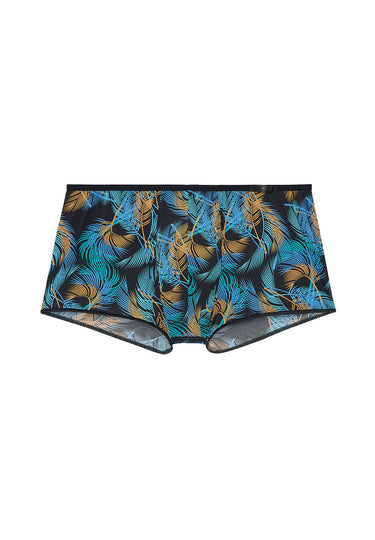 Front cutout view of HO blue print  Trunk