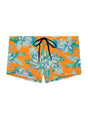 Front cutout view of HO orange print  Swim Shorts