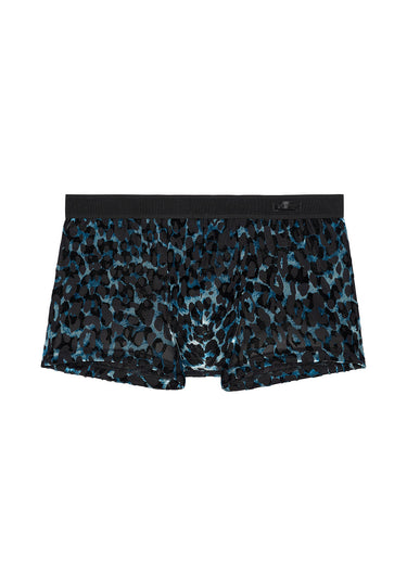 Front cutout view of HO black  Trunk