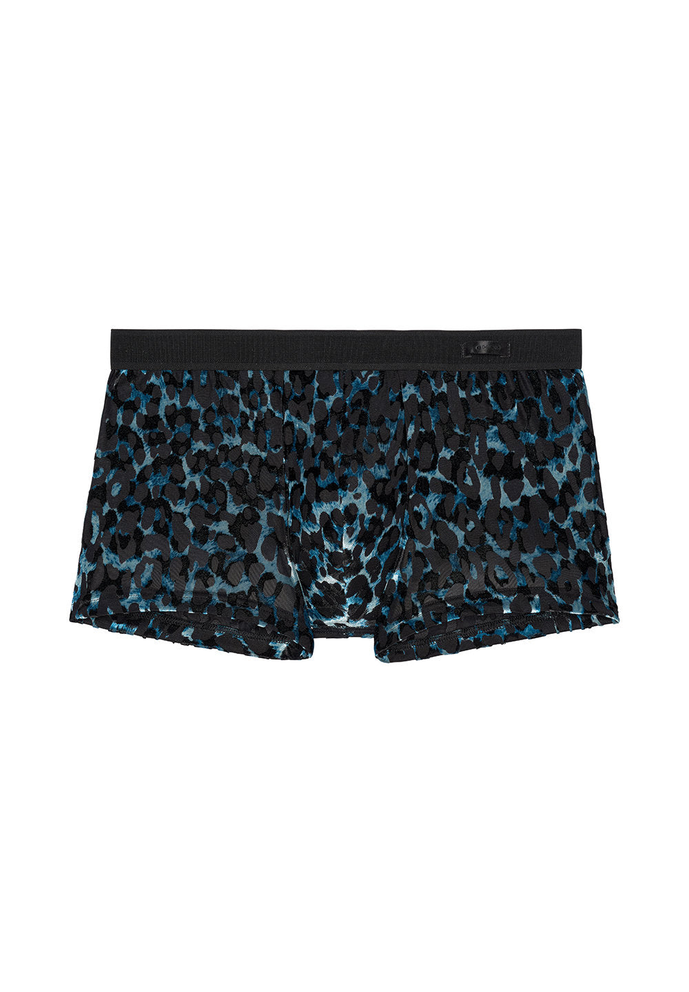Front cutout view of HO black  Trunk
