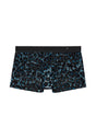 Front cutout view of HO black  Trunk