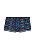 Front cutout view of HO black print  Trunk