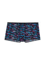 Front cutout view of HO black print  Trunk