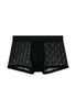 Front cutout view of HO black  Trunk