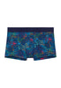 Front cutout view of HO navy blue print  Trunk