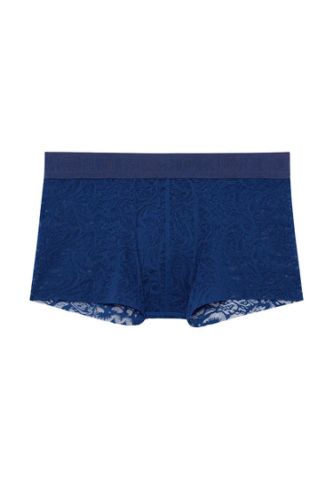 Front cutout view of HO navy  Trunk