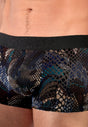 Close-up view of a men model wearing HO black  Trunk
