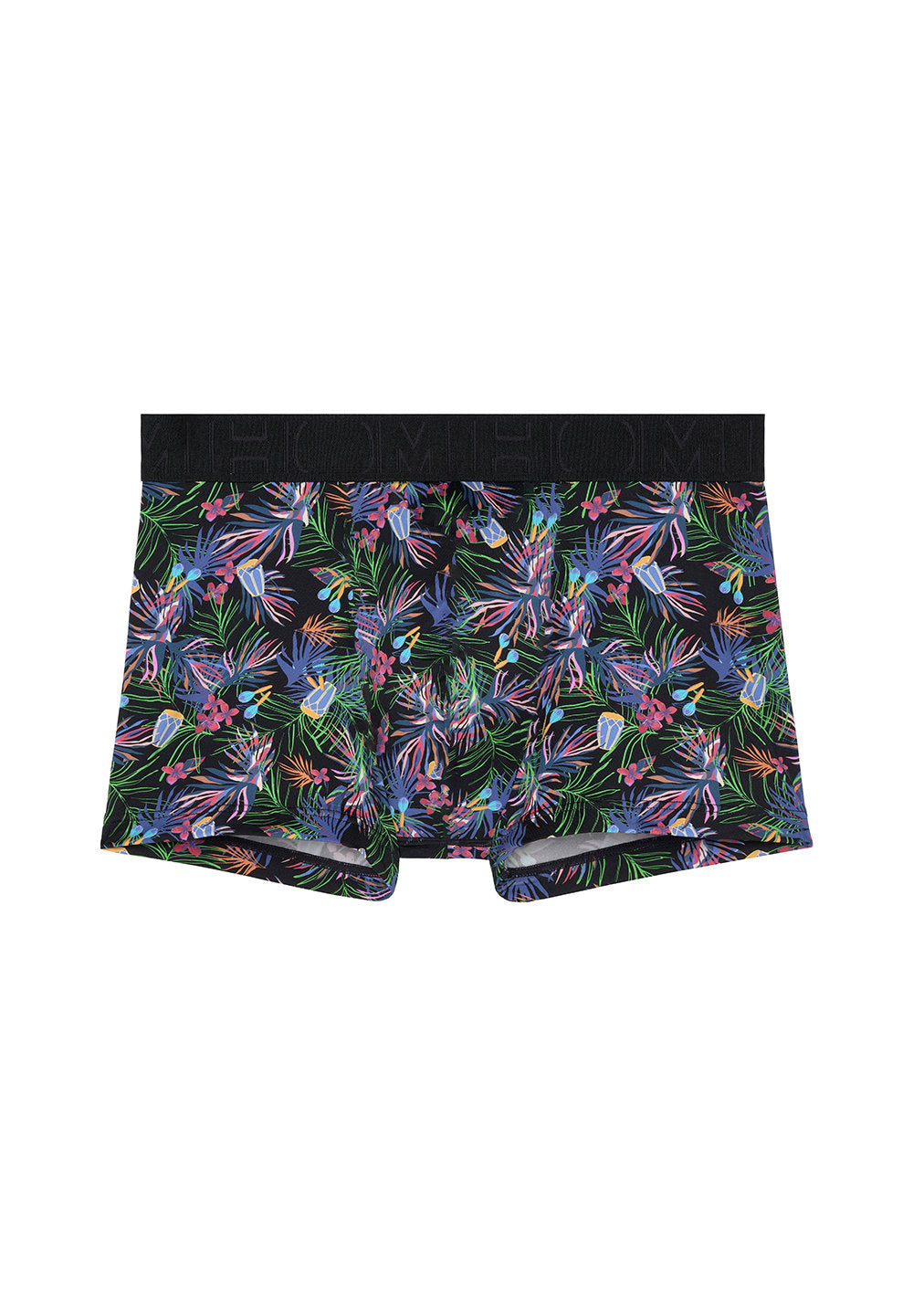 Front cutout view of HO black print  Trunk