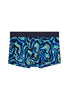 Front cutout view of HO navy blue print  Trunk