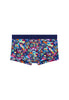 Front cutout view of HO multico print  Trunk