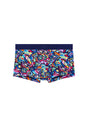 Front cutout view of HO multico print  Trunk