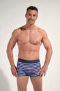 Front view of a men model wearing HO blue stripes  Boxer Briefs