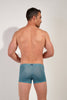 Back view of a men model wearing HO blue print  Swim Shorts
