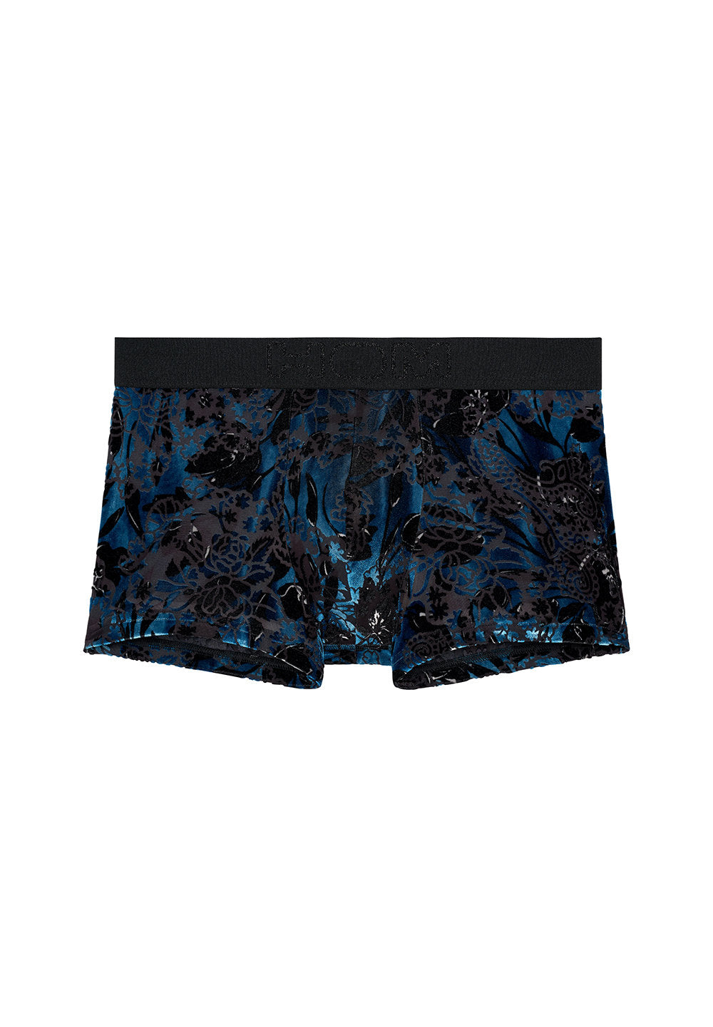 Front cutout view of HO black  Trunk
