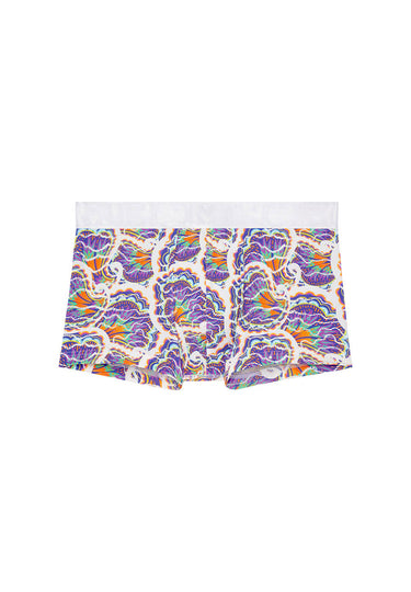 Front cutout view of HO white print  Trunk