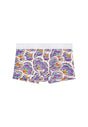 Front cutout view of HO white print  Trunk