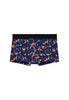 Front cutout view of HO black print  Trunk