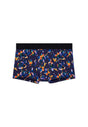 Front cutout view of HO black print  Trunk