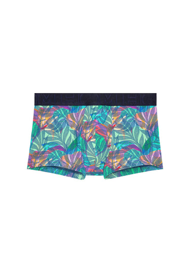 Front cutout view of HO multico print  Trunk