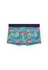 Front cutout view of HO multico print  Trunk
