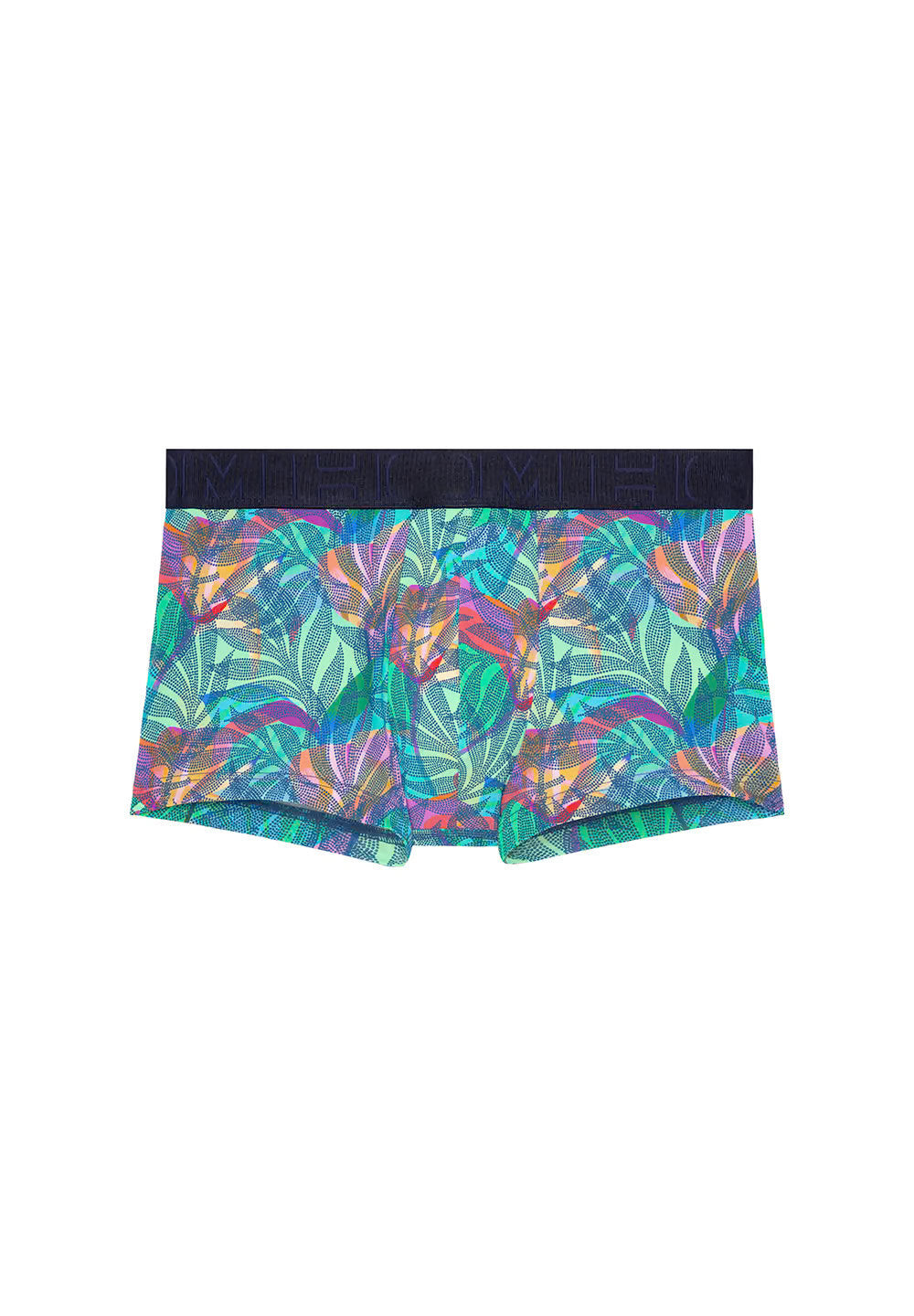 Front cutout view of HO multico print  Trunk
