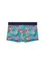 Front cutout view of HO multico print  Trunk