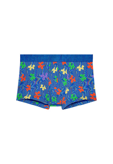 Front cutout view of HO blue print  Trunk