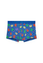Front cutout view of HO blue print  Trunk