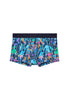 Front cutout view of HO navy blue print  Trunk