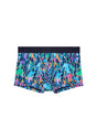 Front cutout view of HO navy blue print  Trunk