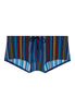 Front cutout view of HO multicolor stripes  Swim Trunk