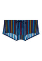 Front cutout view of HO multicolor stripes  Swim Trunk