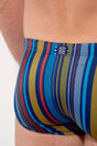 General view of a men model wearing HO multicolor stripes  Swim Trunk