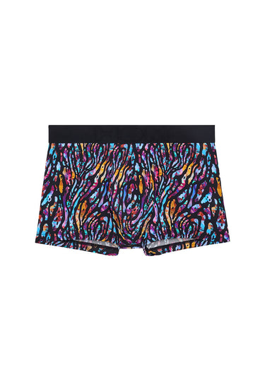 Front cutout view of HO multico print  Trunk