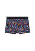 Front cutout view of HO multico print  Trunk