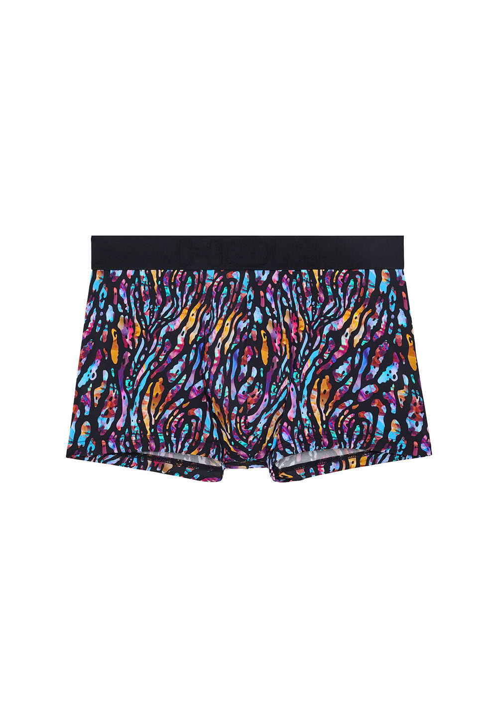 Front cutout view of HO multico print  Trunk