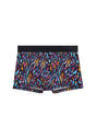 Front cutout view of HO multico print  Trunk