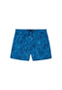 Front cutout view of HO blue print  Beach Boxer