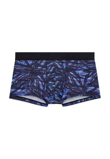 Front cutout view of HO blue print  Trunk