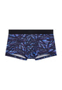 Front cutout view of HO blue print  Trunk