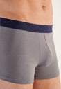 General view of a men model wearing HO navy/navy stripes/grey cotton Boxer Briefs 3p