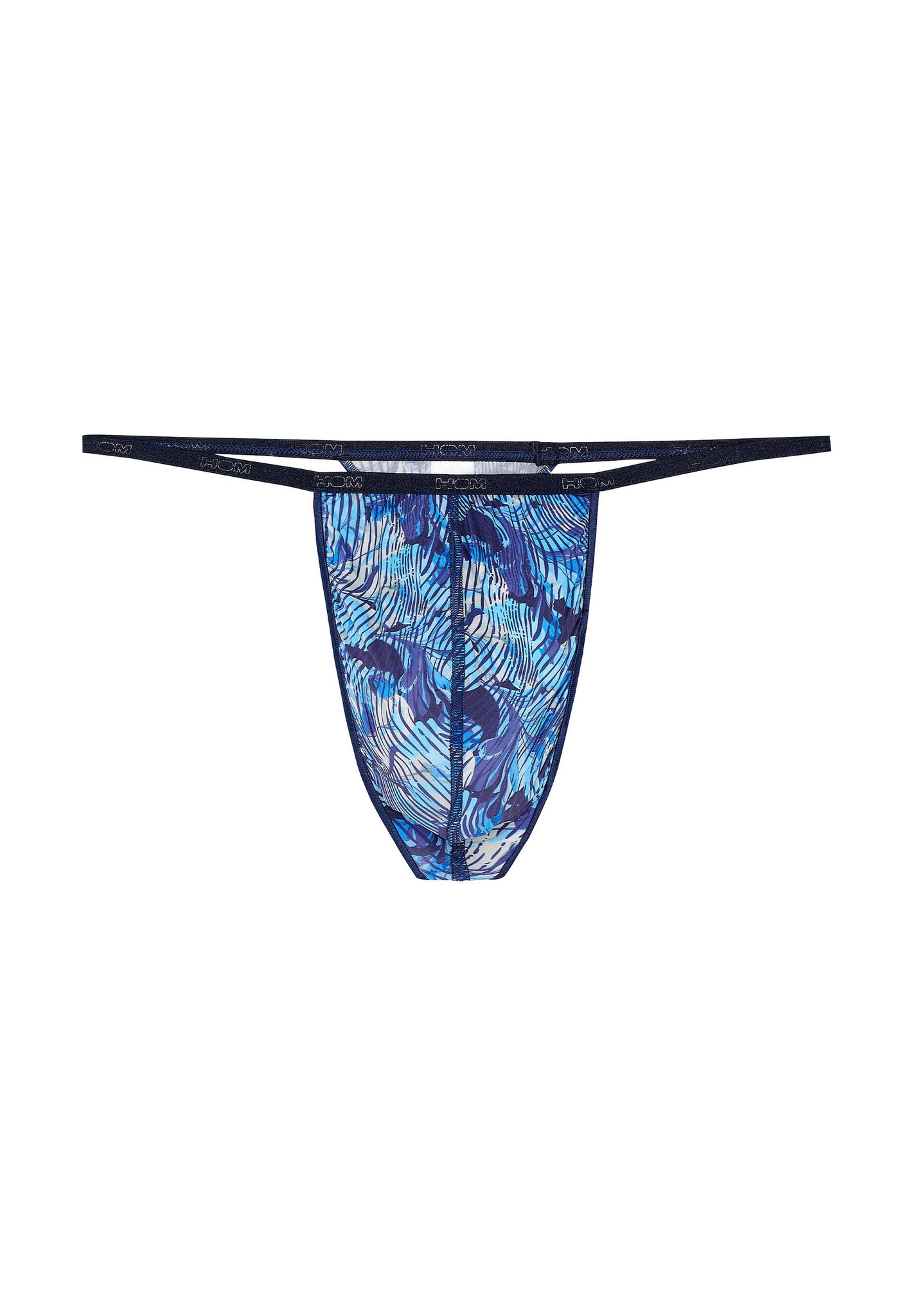 Front cutout view of HO blue print  G-String