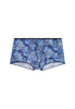 Front cutout view of HO blue print  Trunk