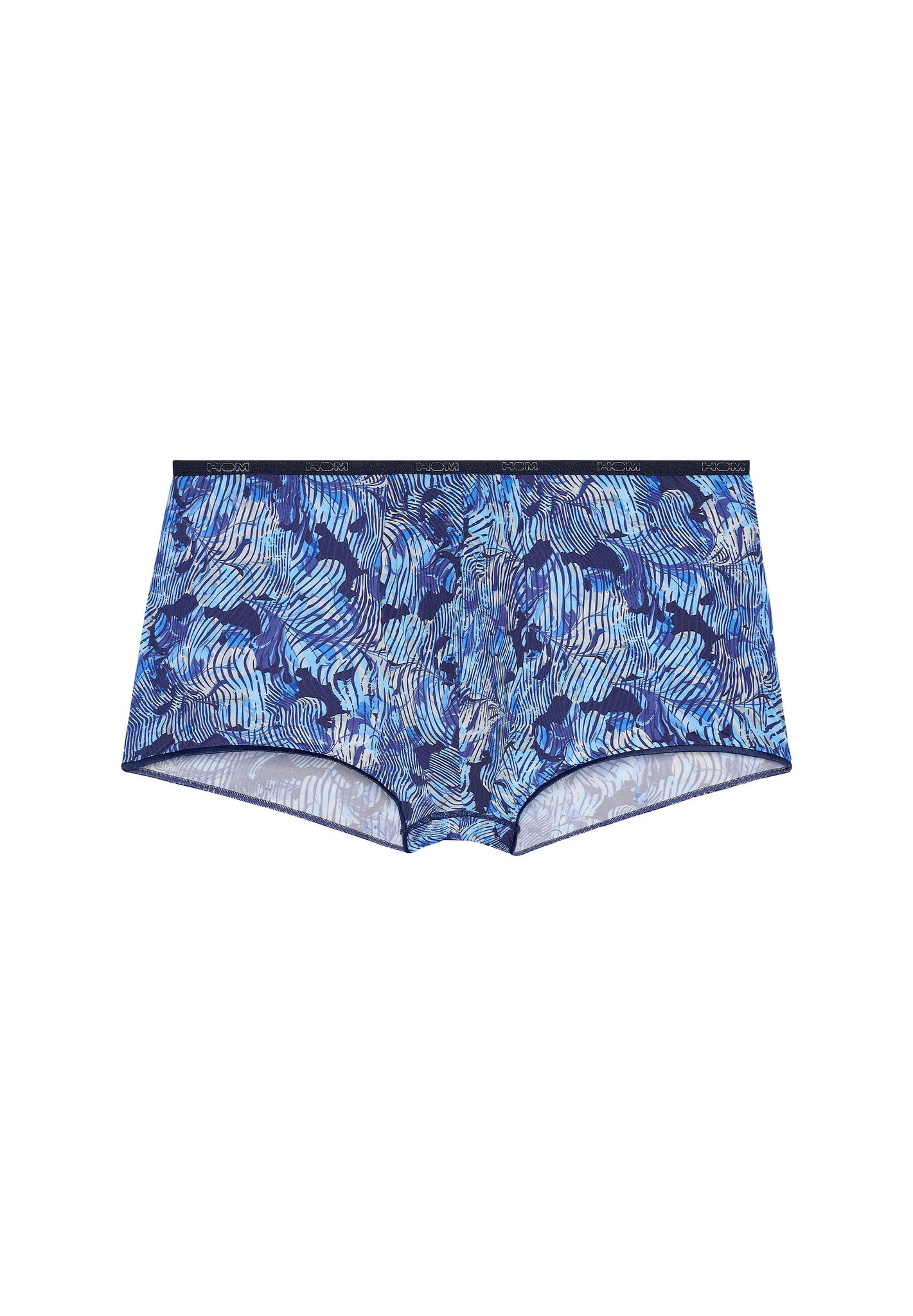 Front cutout view of HO blue print  Trunk
