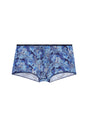 Front cutout view of HO blue print  Trunk