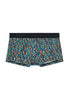Front cutout view of HO multico print  Trunk
