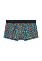 Front cutout view of HO multico print  Trunk