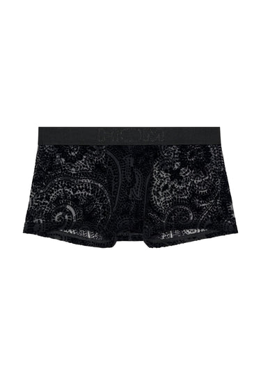 Front cutout view of HO black  Trunk