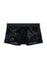 Front cutout view of HO black  Trunk
