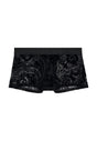 Front cutout view of HO black  Trunk